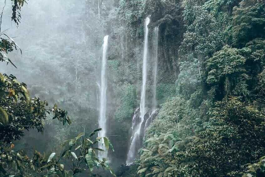 North Bali Sekumpul Banyumala Waterfalls Rice Terraces Adventures