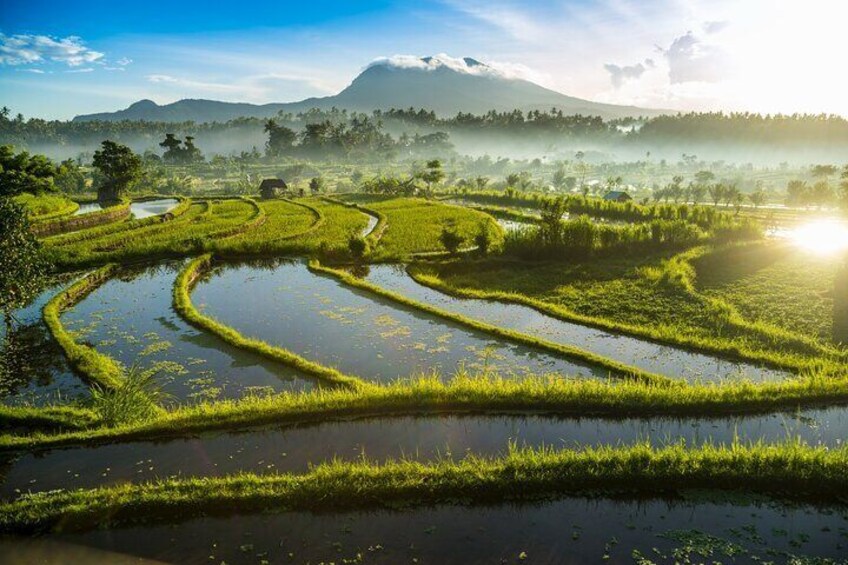 North Bali Sekumpul Banyumala Waterfalls Rice Terraces Adventures