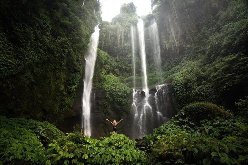 North Bali Sekumpul and Banyumala Waterfalls with Rice Terraces 