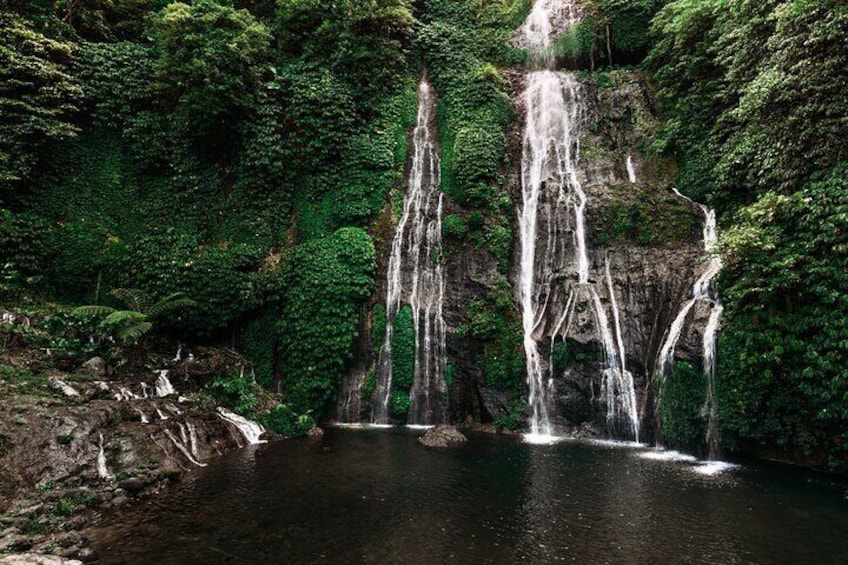North Bali Sekumpul Banyumala Waterfalls Rice Terraces Adventures