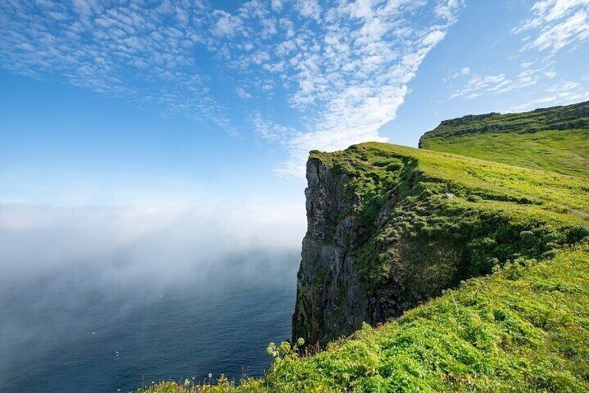 Hornstrandir Hike Prime Hiking Destination