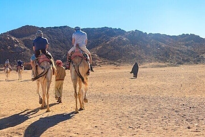 Aventura en camello por el bosque y el río - Agadir