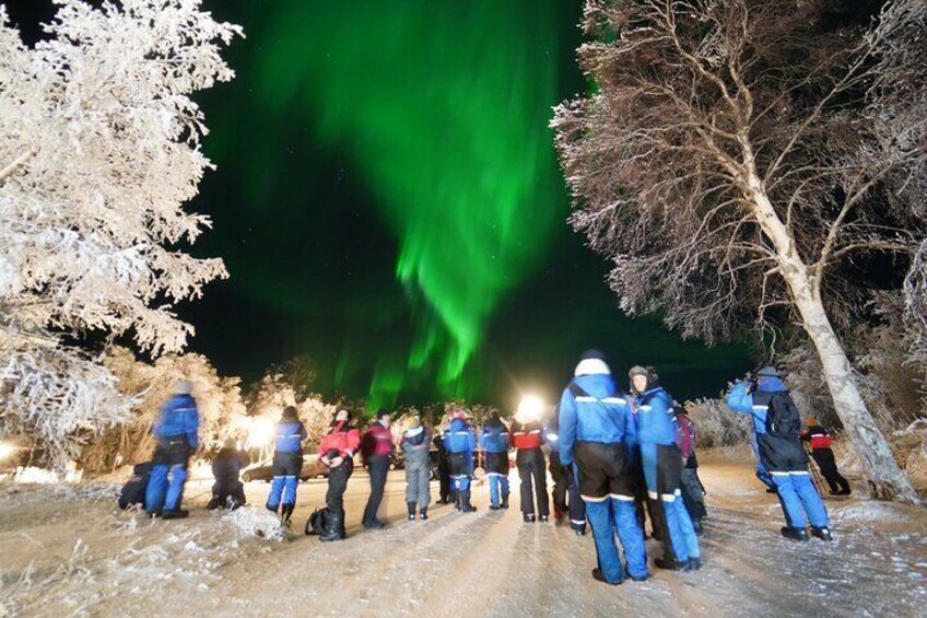 Northern Lights Tour to Abisko