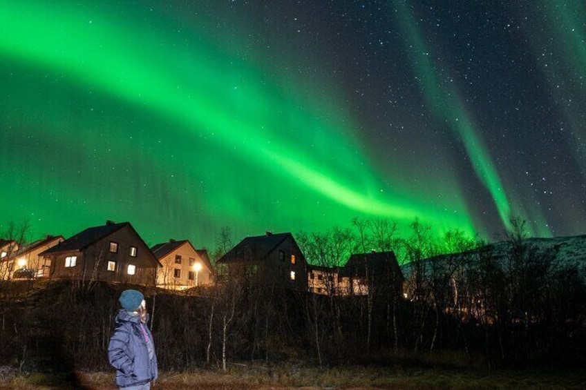 Northern Lights Tour to Abisko