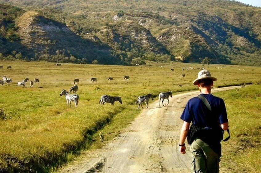 Overnight Mount Longonot and Hells Gate National Park