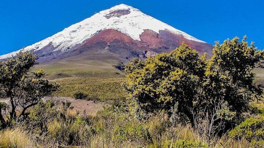 Climb Cotopaxi summit 5897 m. 19,347 ft