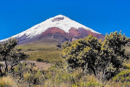 Climb Cotopaxi summit 5897 m. 19,347 ft