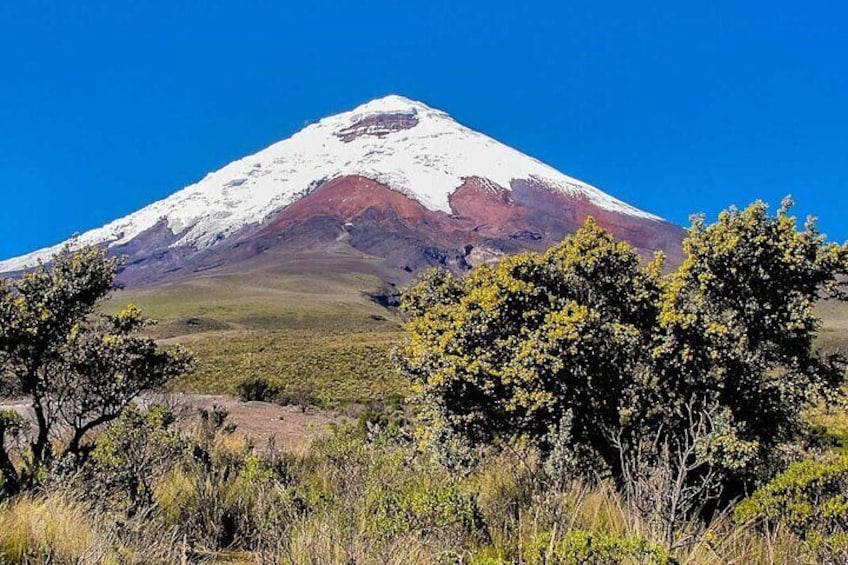 Climb Cotopaxi summit 5897 m. 19,347 ft