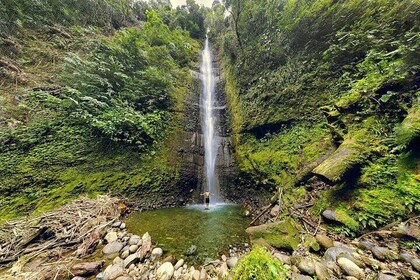 Discover Yanacocha and Tamandua Amazon Full Day Tour from Baños