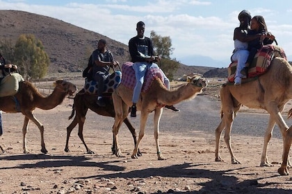 Marrakech :sunset dinner in agafay desert with show & camel Ride