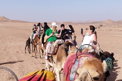 Marrakech :sunset dinner in agafay desert with show & camel Ride