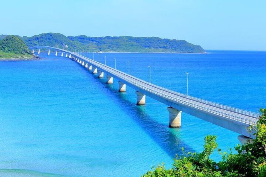 Moji Port, Subsea Tunnel & Shrine day Tour : From Fukuoka
