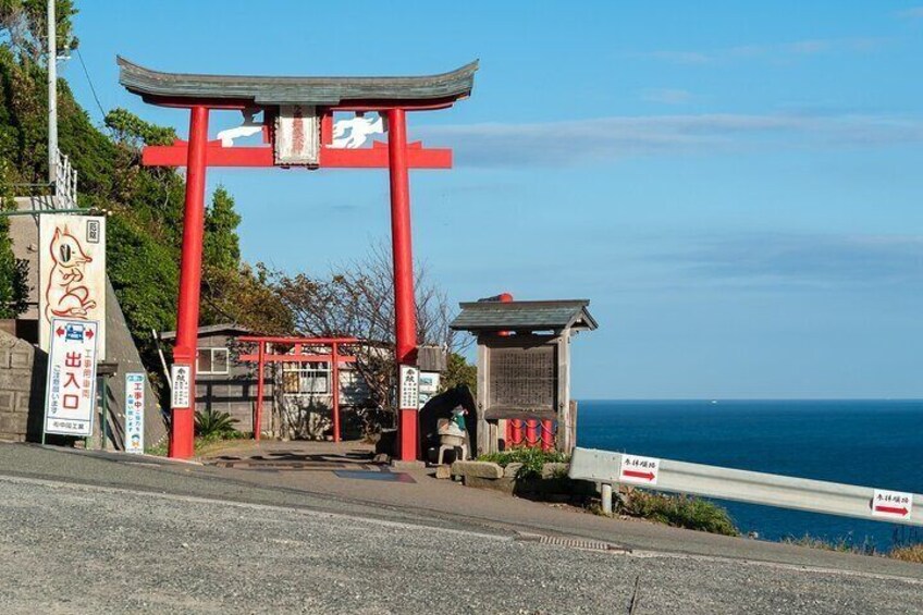 Moji Port, Subsea Tunnel & Shrine day Tour : From Fukuoka