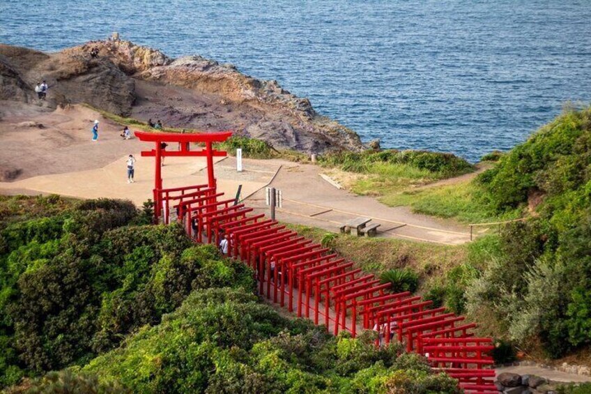 Moji Port, Subsea Tunnel & Shrine day Tour : From Fukuoka