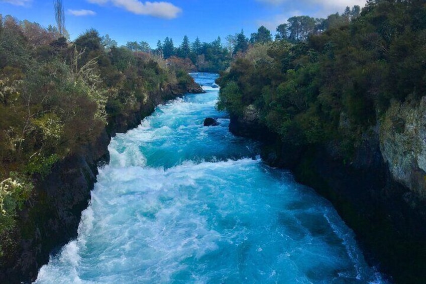 Nature’s Best Blue Springs, Huka Falls & Redwoods Day Tour