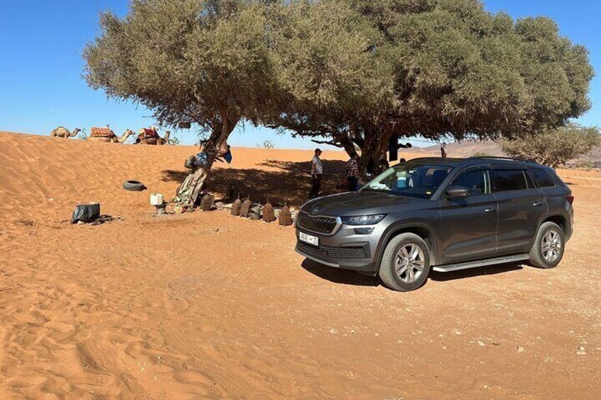 Massa Excursion Half Day Desert Tour