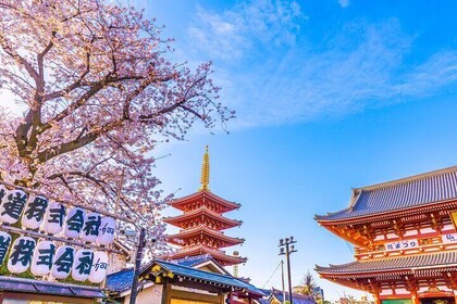 Asakusa and Sensoji Temple Historical Walking Tour in Tokyo