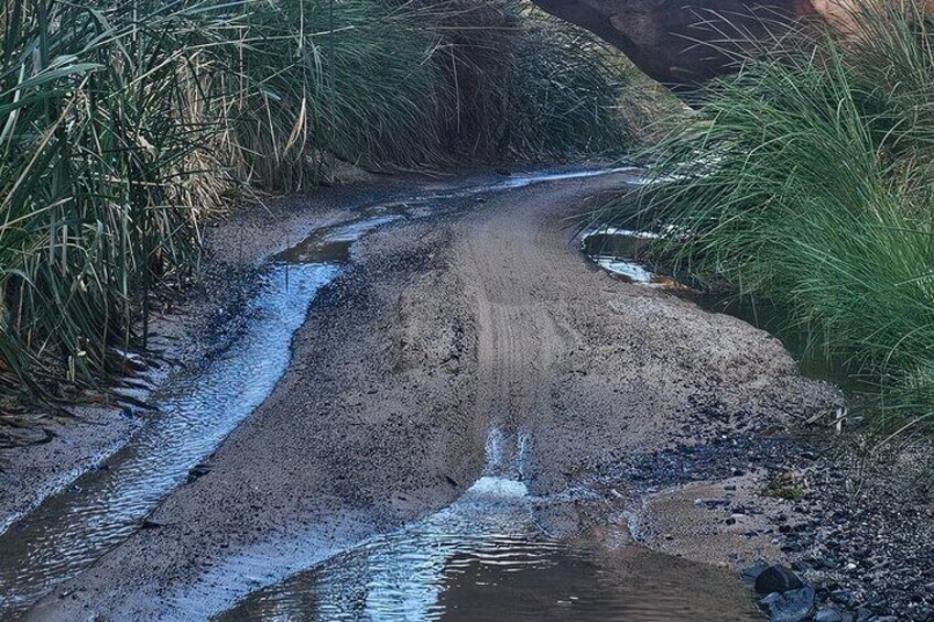 Day Tour on Hidden Gems of Wadi Al Disah