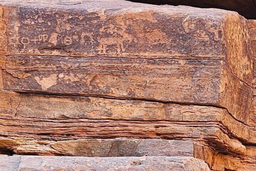 Day Tour on Hidden Gems of Wadi Al Disah