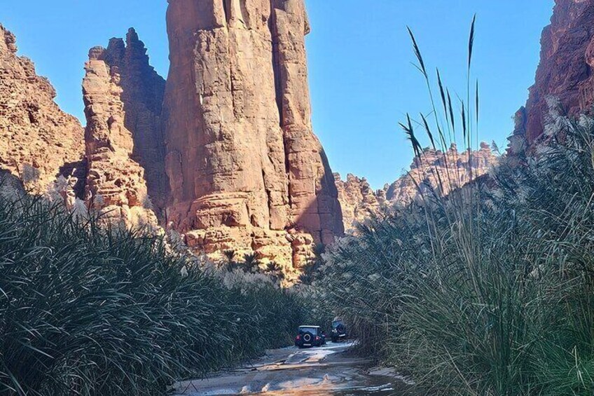 Day Tour on Hidden Gems of Wadi Al Disah