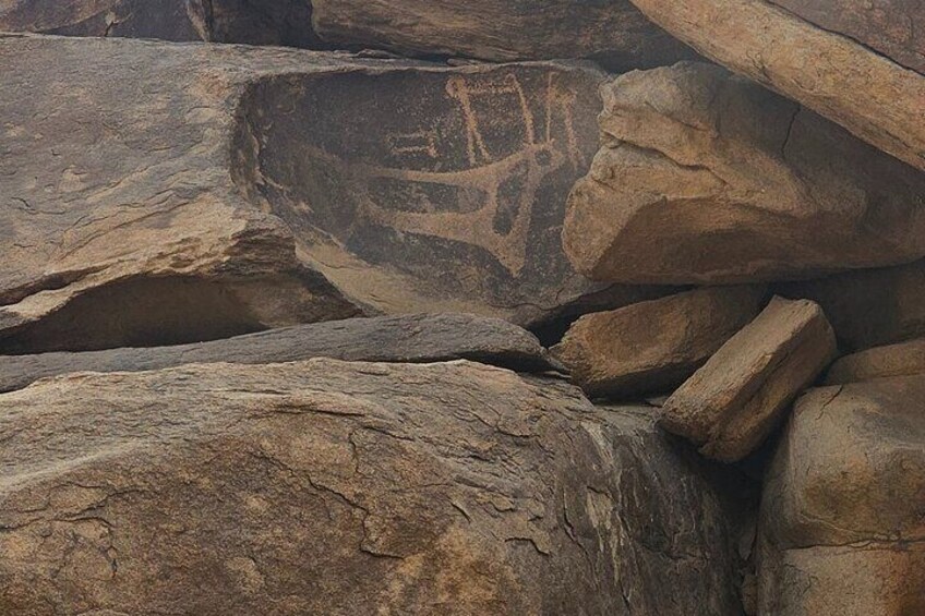 Historical Landmark in Tabuk Region Full Day Tour