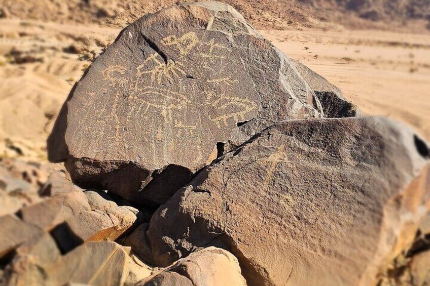 Historical Landmark in Tabuk Region Full Day Tour