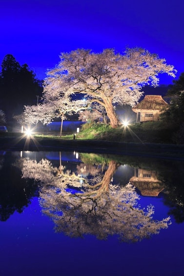 5-Day JR EAST PASS (Nagano, Niigata area) [For Tourists & Expats]