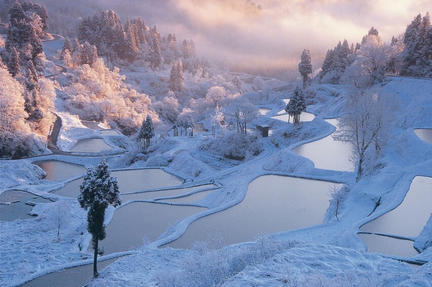 5-Day JR EAST PASS (Nagano, Niigata area) [For Tourists & Expats]