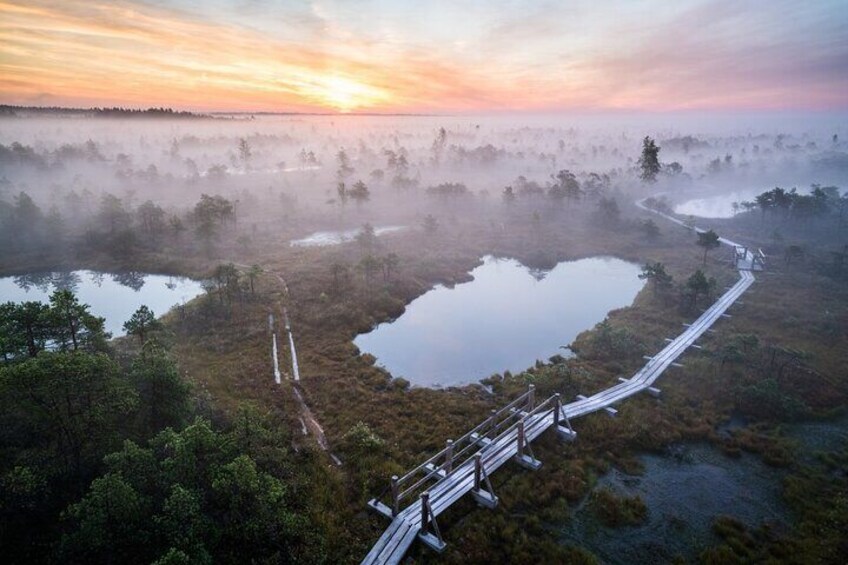 Riga Jurmala and Kemeri National Park Tour with Picnic