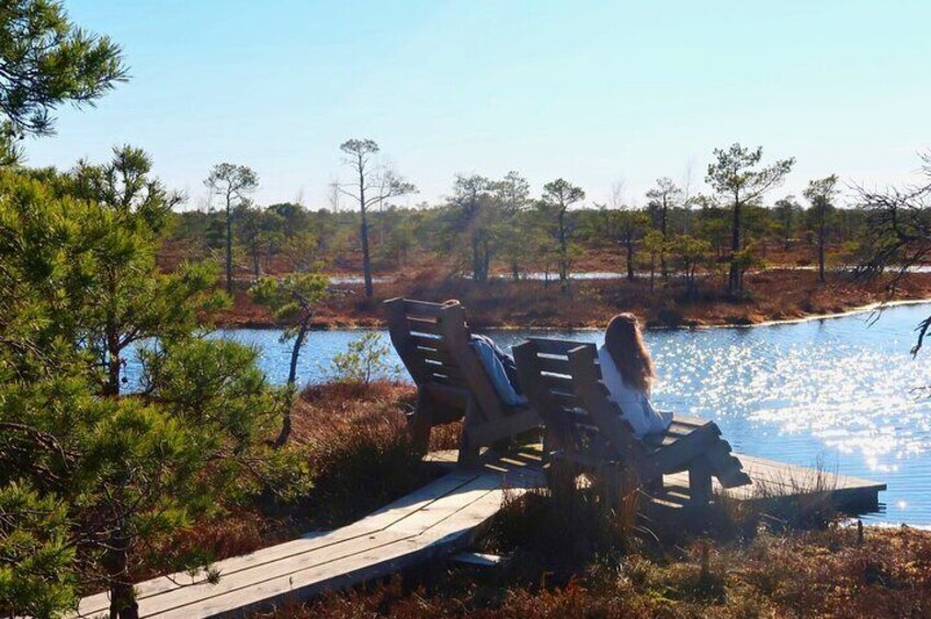 Riga: Jurmala and Kemeri National Park Tour with Picnic