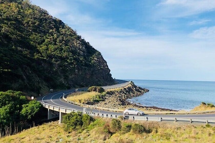 From Melbourne: Great Ocean Road Day Tour with Scenic Highlights