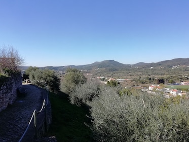 Algarve tradizionale