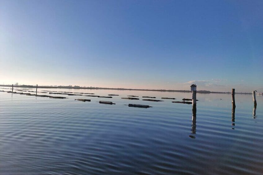 Private Boat Tour To Discover The Venetian Lagoon from Chioggia