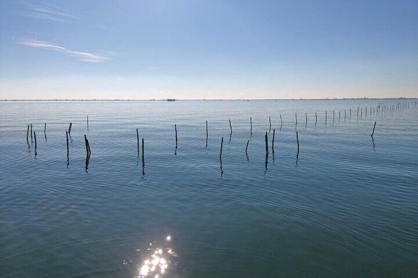 Private Boat Tour To Discover The Venetian Lagoon from Chioggia