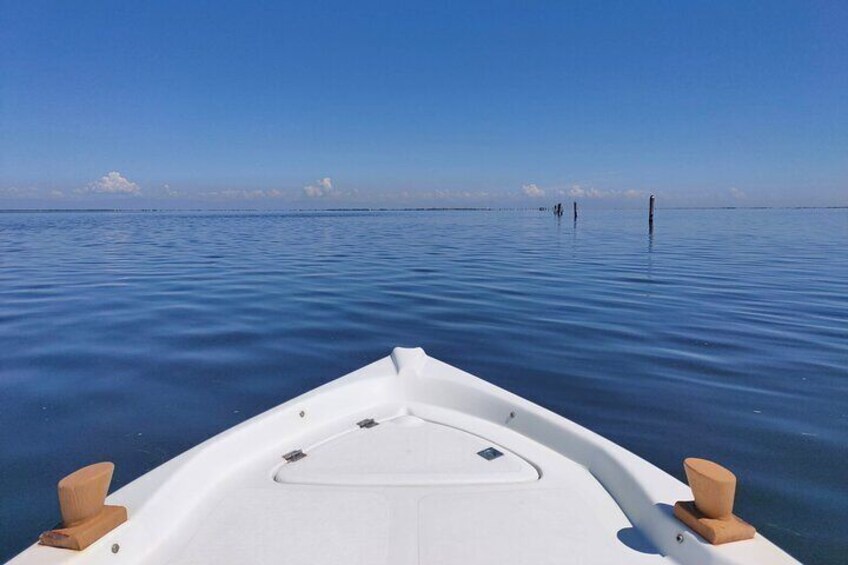 Private Boat Tour To Discover The Venetian Lagoon from Chioggia