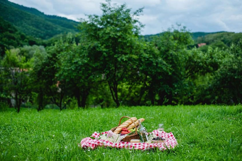 Picture 3 for Activity Sibiu: A Taste of History – Gastronomical Walking Tour