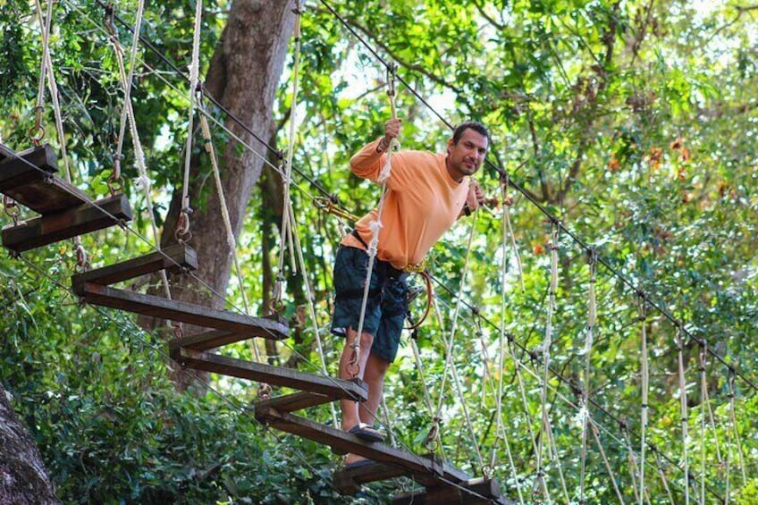 Monkey Bridge