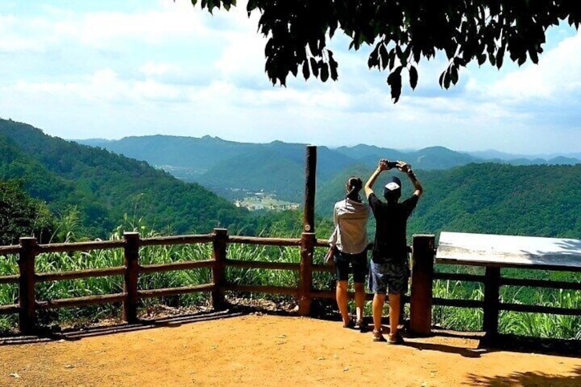 Khao Yai National Park Small Group Trekking Tour from Bangkok