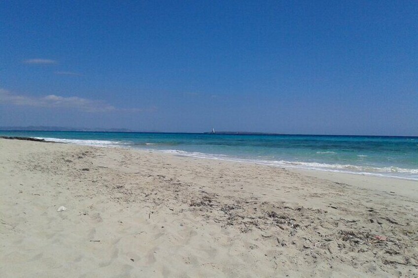 Ibiza Tour to Formentera by Bus and Fast Ferry with Guide