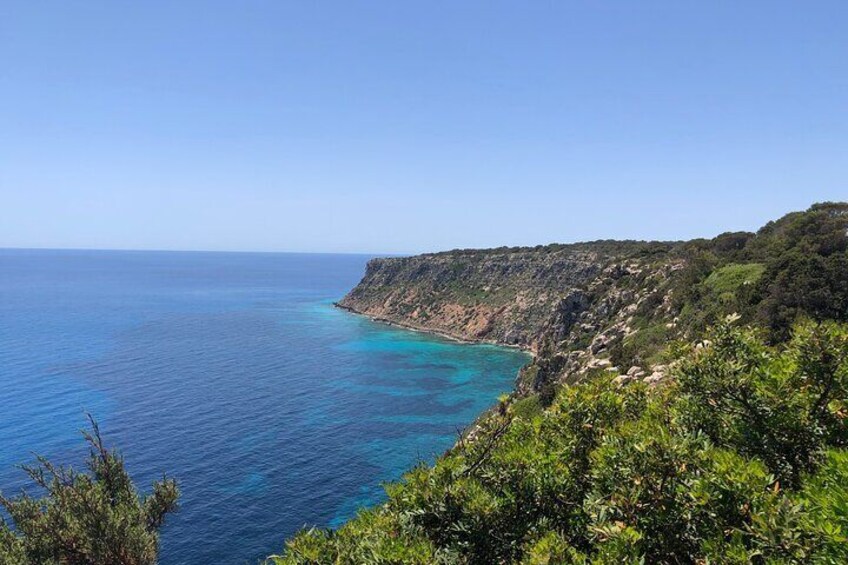 Ibiza Tour to Formentera by Bus and Fast Ferry with Guide