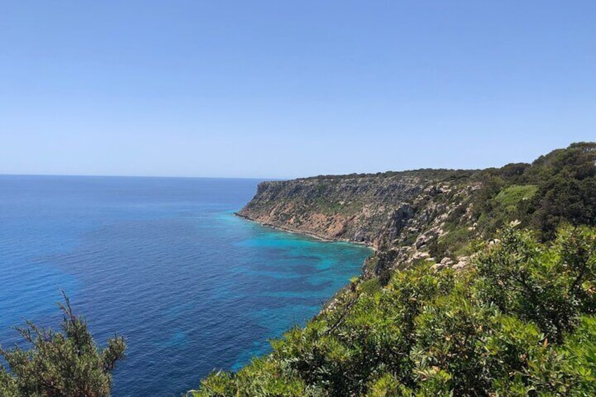 Ibiza Tour to Formentera by Bus and Fast Ferry with Guide
