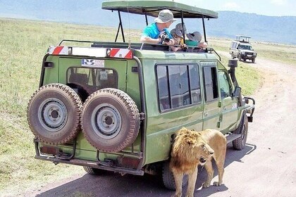 三天令人興奮的Masai Mara Jeep Safari Spectacle