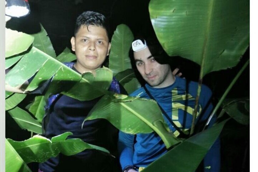 Night Walk in Tortuguero