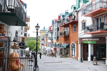 Montreal Guided Adventure in Mont Tremblant