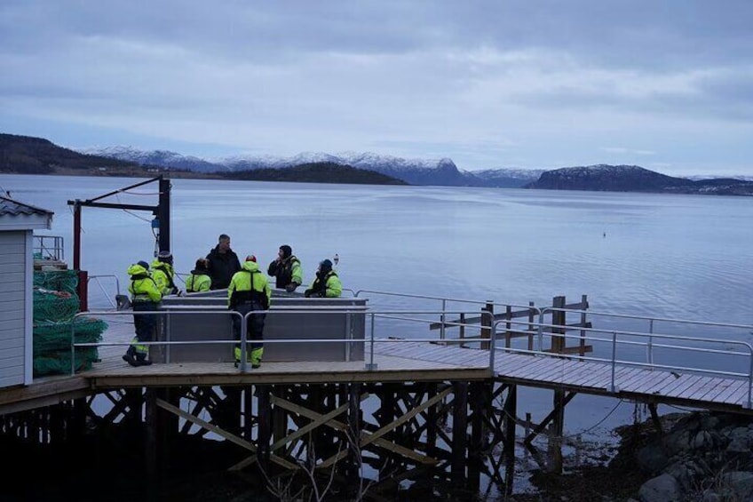 King Crab Boat Safari in Alta