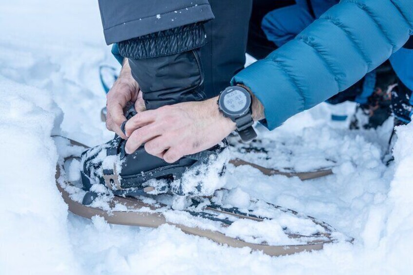 Guided Snowshoe Hike from Interlaken