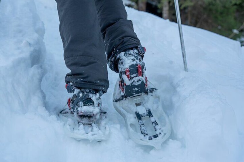 Guided Snowshoe Hike from Interlaken