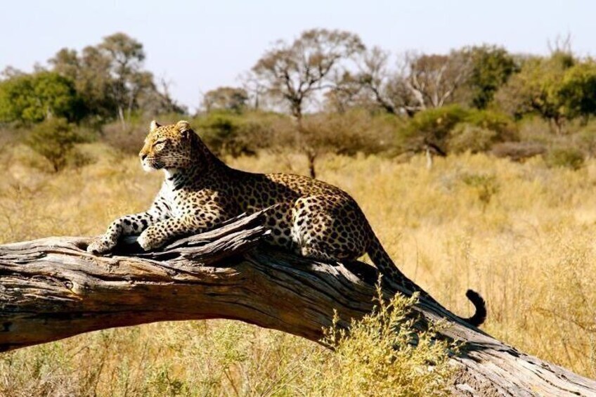 Private 3 Days Samburu National Park Safari All Inclusive