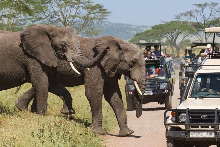 Private 3 Days Samburu National Park Safari All Inclusive