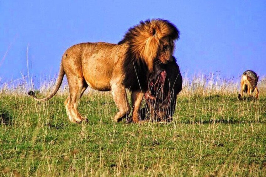 Private 3 Days Samburu National Park Safari All Inclusive